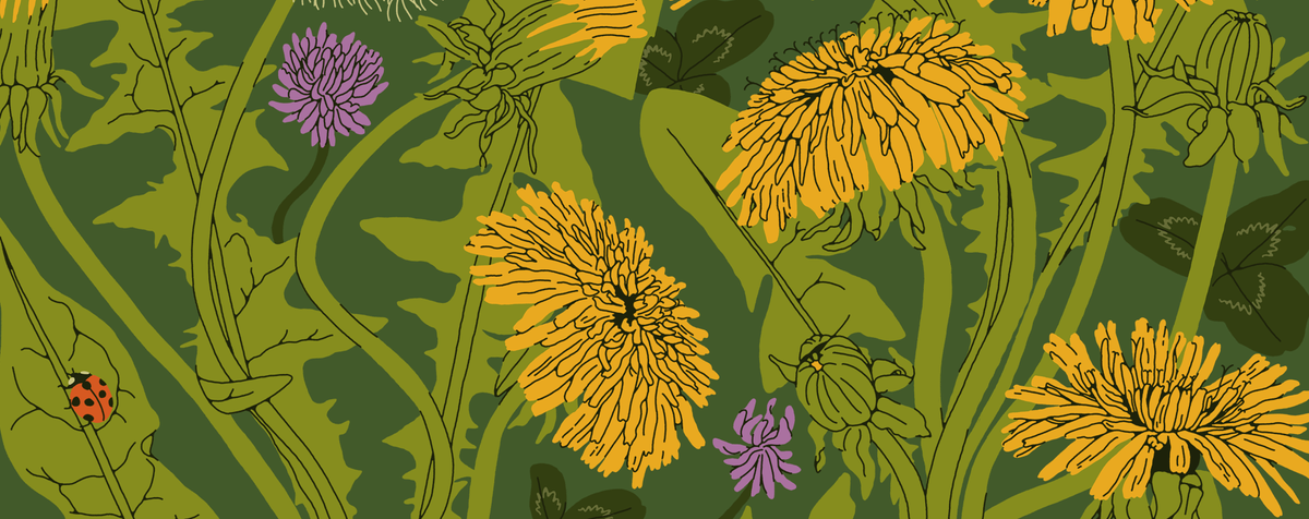 We Must Refuse To Cooperate With Injustice