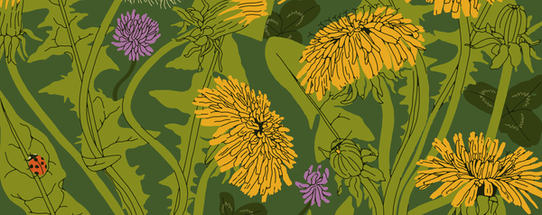 We Must Refuse To Cooperate With Injustice